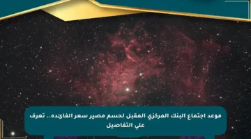 موعد اجتماع البنك المركزي المقبل لحسم مصير سعر الفائدة.. تعرف على التفاصيل
